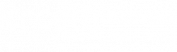 logo-partner-light